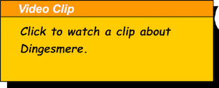 task info image
