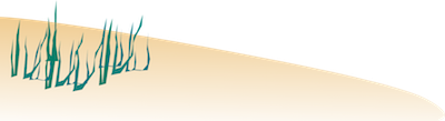 land grass